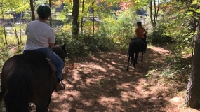 Horse Trail Ride (2)