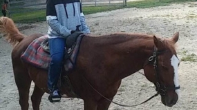 Horse Trail Ride (22)