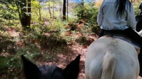 Horse Trail Ride (24)