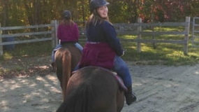 Horse Trail Ride (27)
