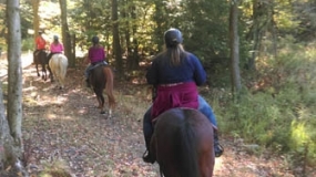 Horse Trail Ride (28)
