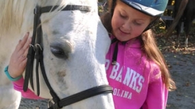 Horse Trail Ride (29)