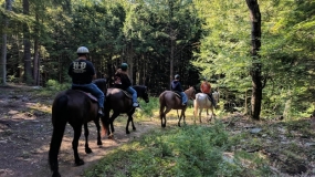 Horse Trail Ride (4)