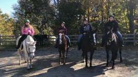 Horse Trail Ride (5)