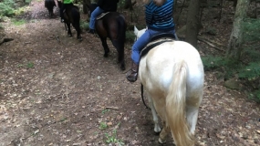 Horse Trail Ride (6)