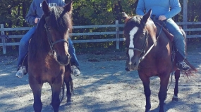 Horse Trail Ride (9)