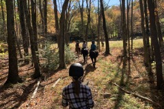 IMG2020 (10)