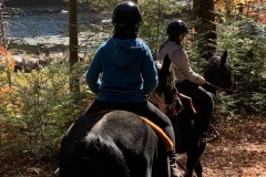 IMG2020 (11)