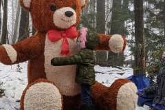 Image-3