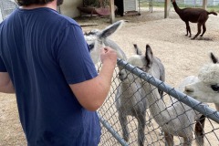 IMG2020 (103)