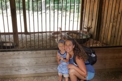 IMG2020 (11)