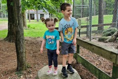 IMG2020 (17)