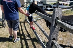 IMG2020 (19)