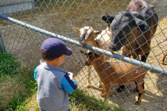 IMG2020 (20)