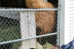 IMG2020 (25)