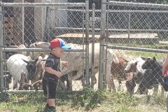 IMG2020 (3)