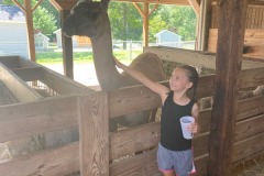 IMG2020 (46)