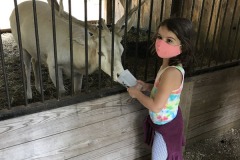 IMG2020 (59)