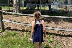 IMG2020 (87)