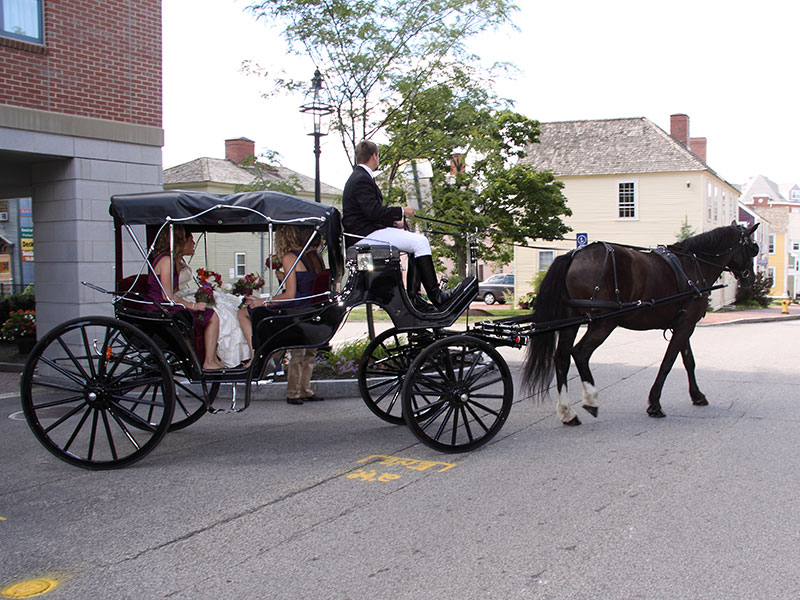 Wedding Carriages - Gallery