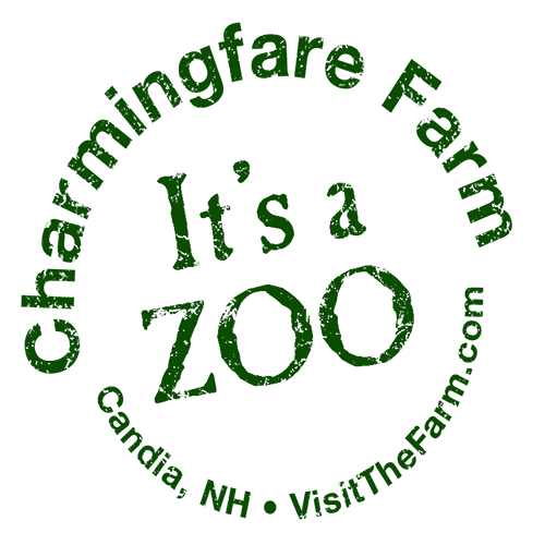 Charmingfare Farm It's a Zoo