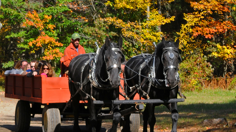 wagon-img1.jpg wagon ride