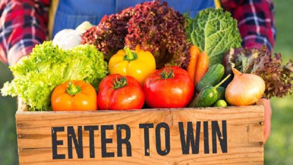 [CLOSED] Win a Vegetable Share (value $625) for 20 weeks - Charmingfare ...