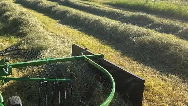 Hay For Sale