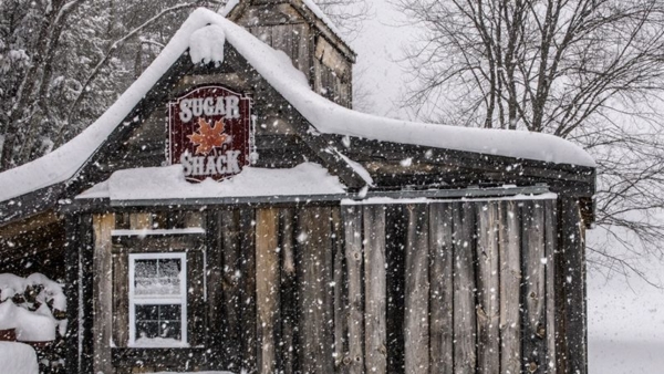 Sugar Shack Tours at Charmingfare Farm’s Maple Express
