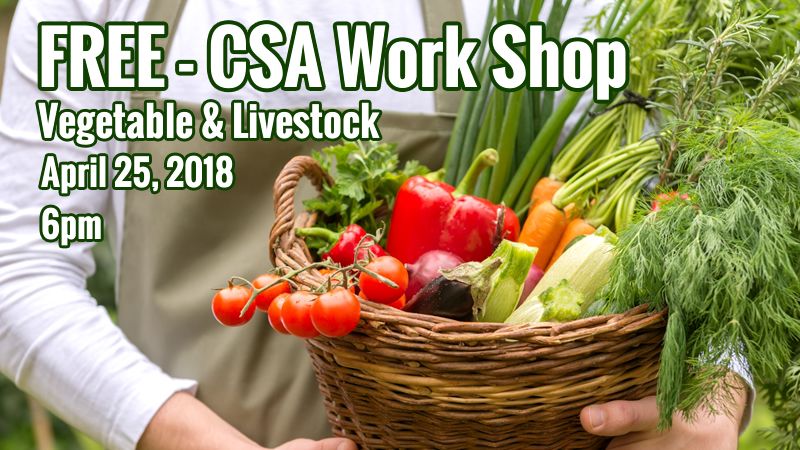 CSA Workshop