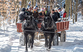 Horse Drawn Ride