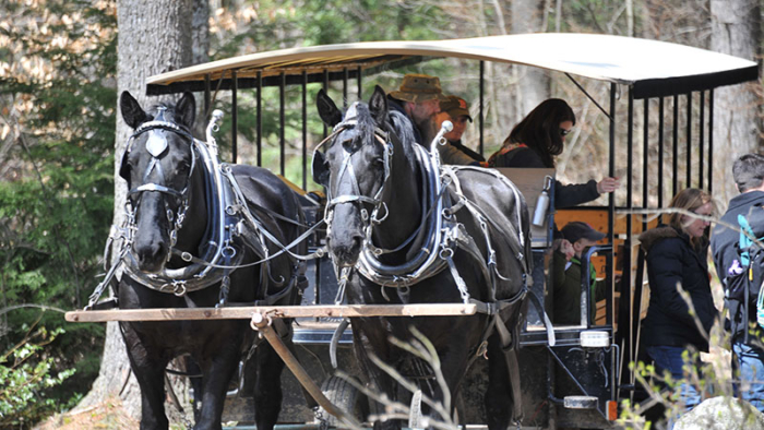 Rustic Rides Farm Horse Rides - Charmingfare Farm