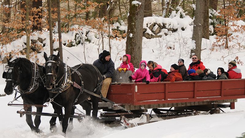 Logging Sleds