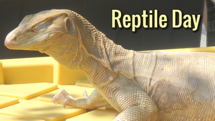 Reptile Day