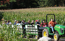 Tractor Train