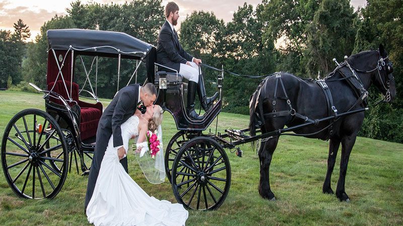 Wedding Carriages