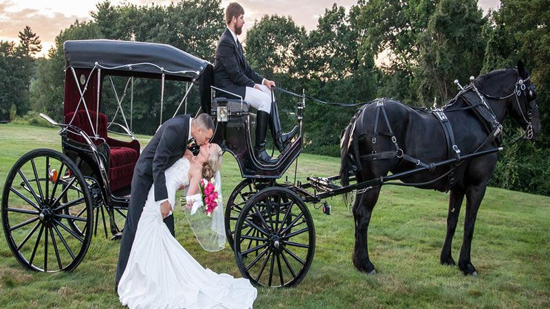 Carriage Limousine Service, Horse Drawn Carriages