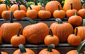 Pumpkin Market