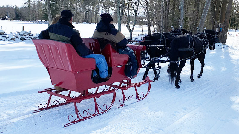 Romantic Sleigh Rides 