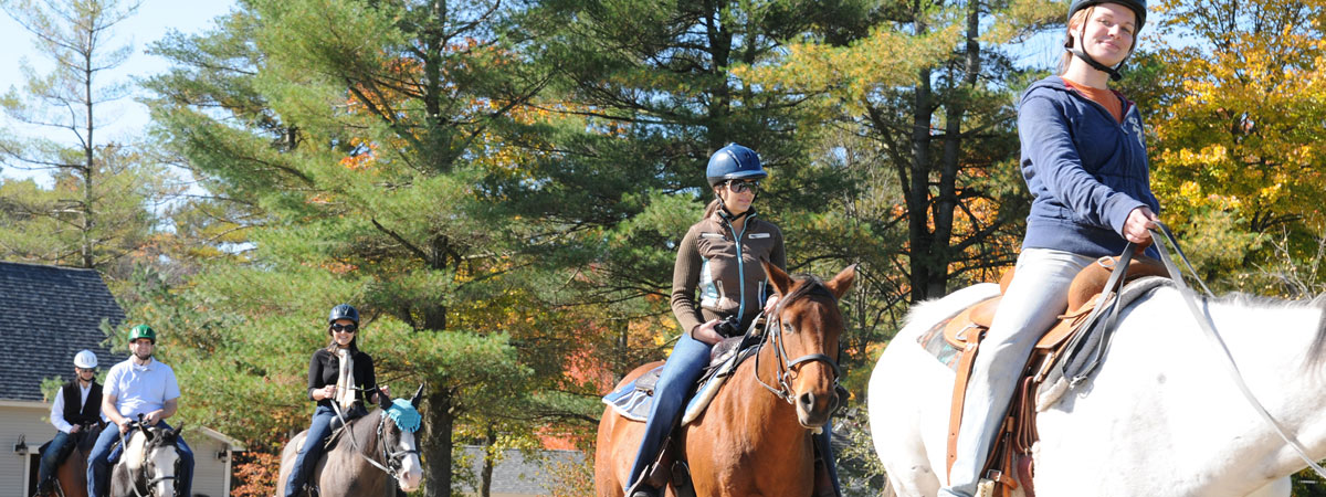 Horse Trail Ride