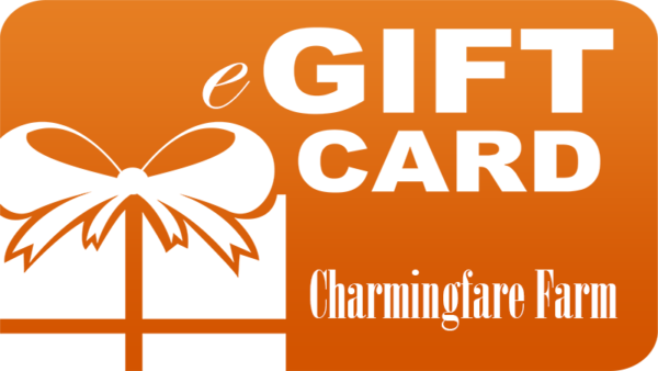 eGift Card
