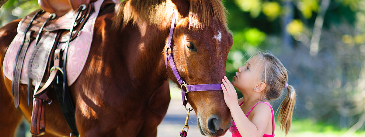 Pony Rides