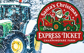 Express-Ticket Vis-A-Vis Sleigh